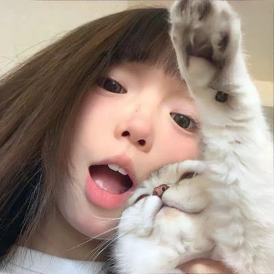 两个伙伴和一只獾
